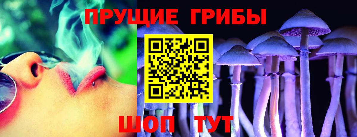 Псилоцибиновые грибы GOLDEN TEACHER Минусинск
